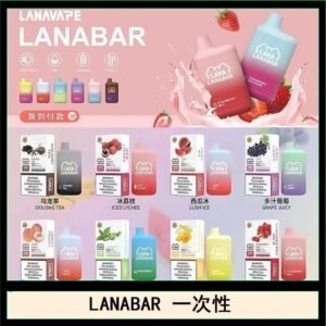 LANA BAR可充电一次性電子煙霧化5000口(3.0%)