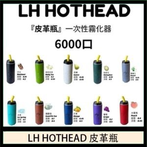 LH HOTHEAD皮革瓶電子煙可充電6000口一次性